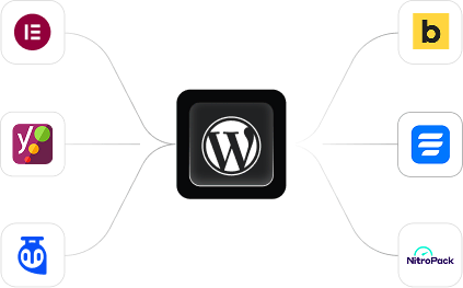 Bento Service Image WordPress Development - NextWebly Digital Marketing Agency